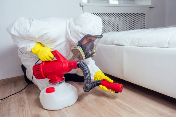 Best Rat Extermination Near Me  in Buttonwillow, CA