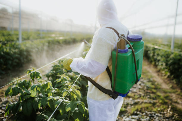 Best Exterminator Services  in Buttonwillow, CA